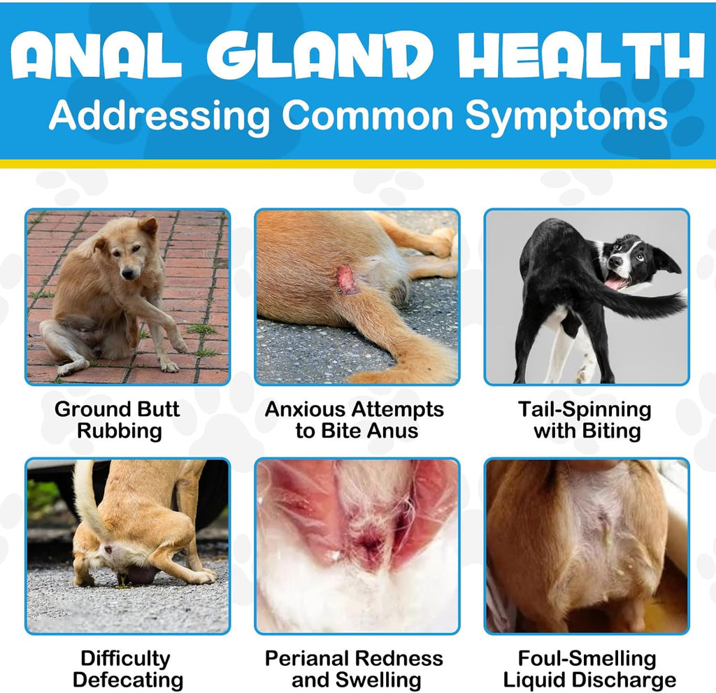 150 Pcs Dog Anal Gland Soft Chews with Pumpkin W4309