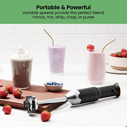 Cordless Portable Immersion Blender 5-in-1 Blender Set with Potato Masher, Whisk, Chopper, Beaker, and Storage Case, Stainless Steel E2528