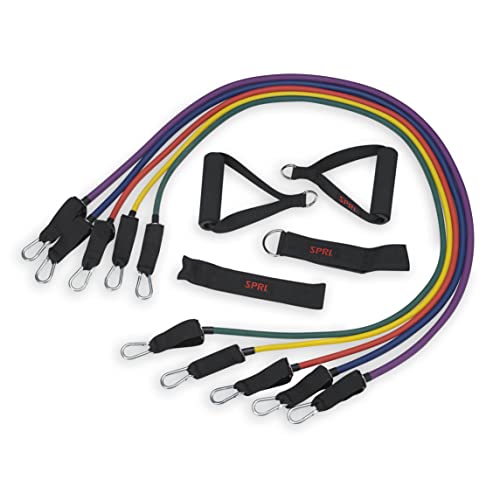 Resistance Band Kit with 5 Exercise Bands, Ankle/Wrist Strap, Padded Handles, Door Anchor, Carry Bag B205