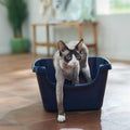 High Sided Cat Litter Box B9618