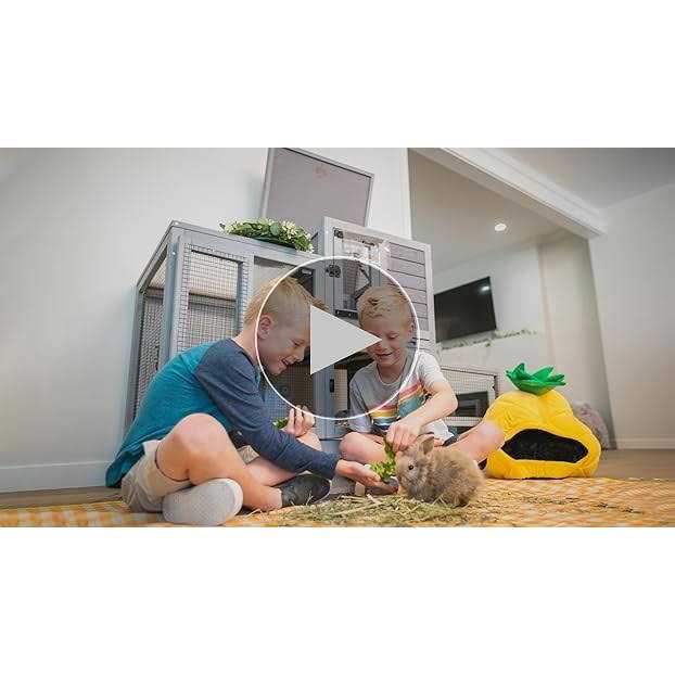 Indoor Outdoor Rabbit Animals C46669