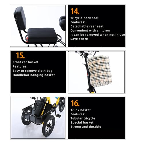 14 Inch Folding Adult Electric Tricycle with Detachable Battery J718