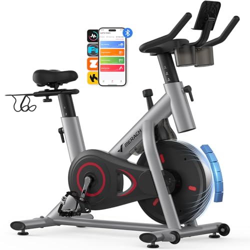Exercise Bike with 300lbs Weight Capacity L125