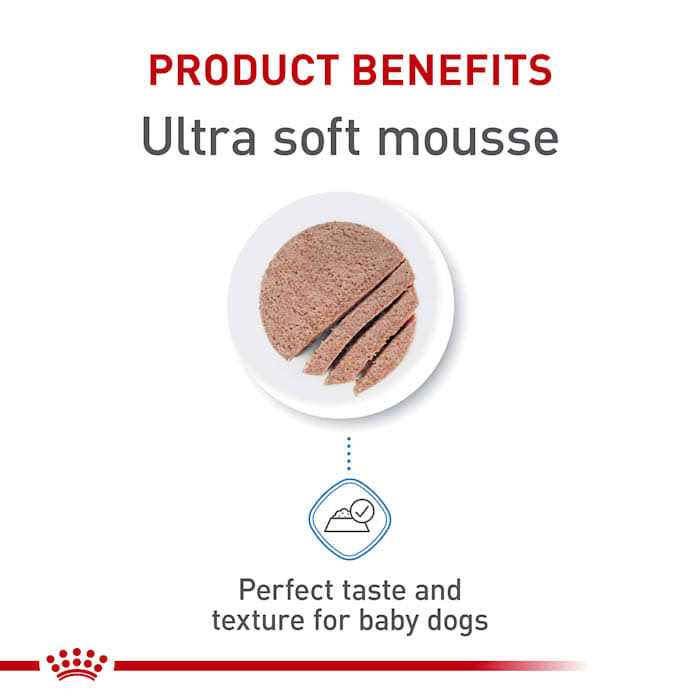 Starter Mousse in Sauce Dog Food V411704