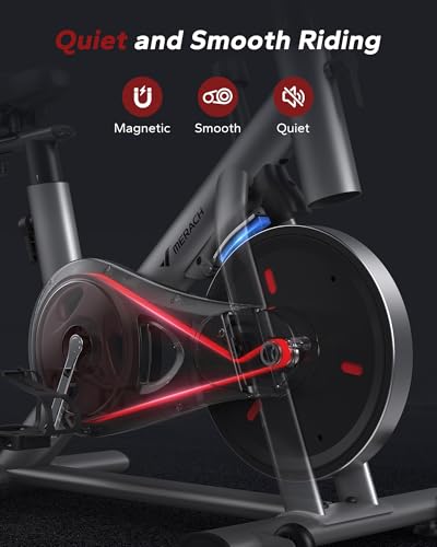 Exercise Bike with 300lbs Weight Capacity L125