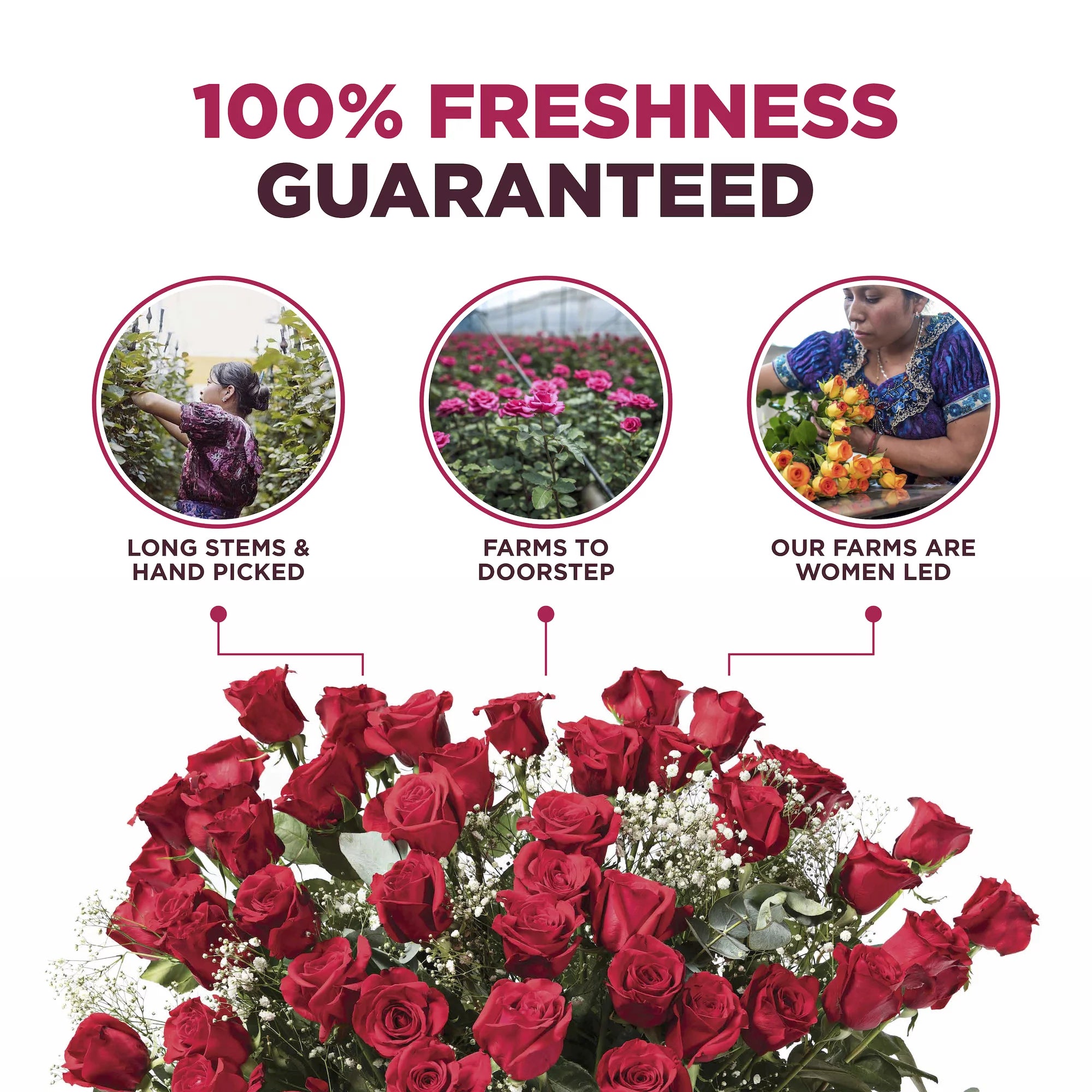 4 Dozen Assorted Fresh Cut Long Stem Roses Bouquet N6876