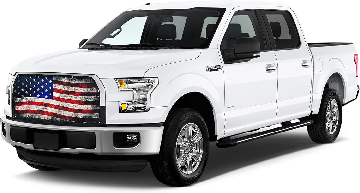 Mesh Bug Screen for Ford F150 Y683