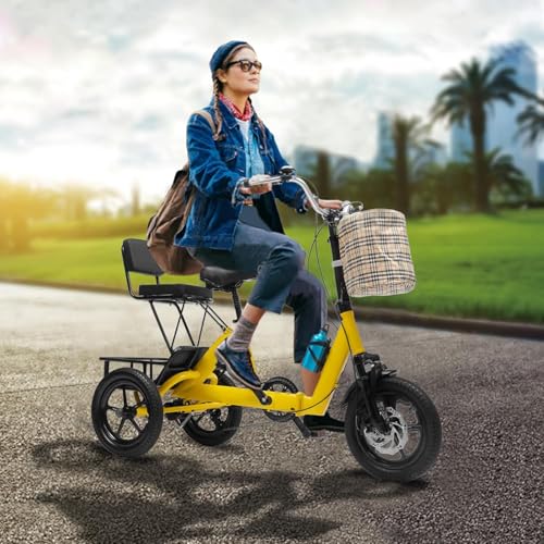14 Inch Folding Adult Electric Tricycle with Detachable Battery J718