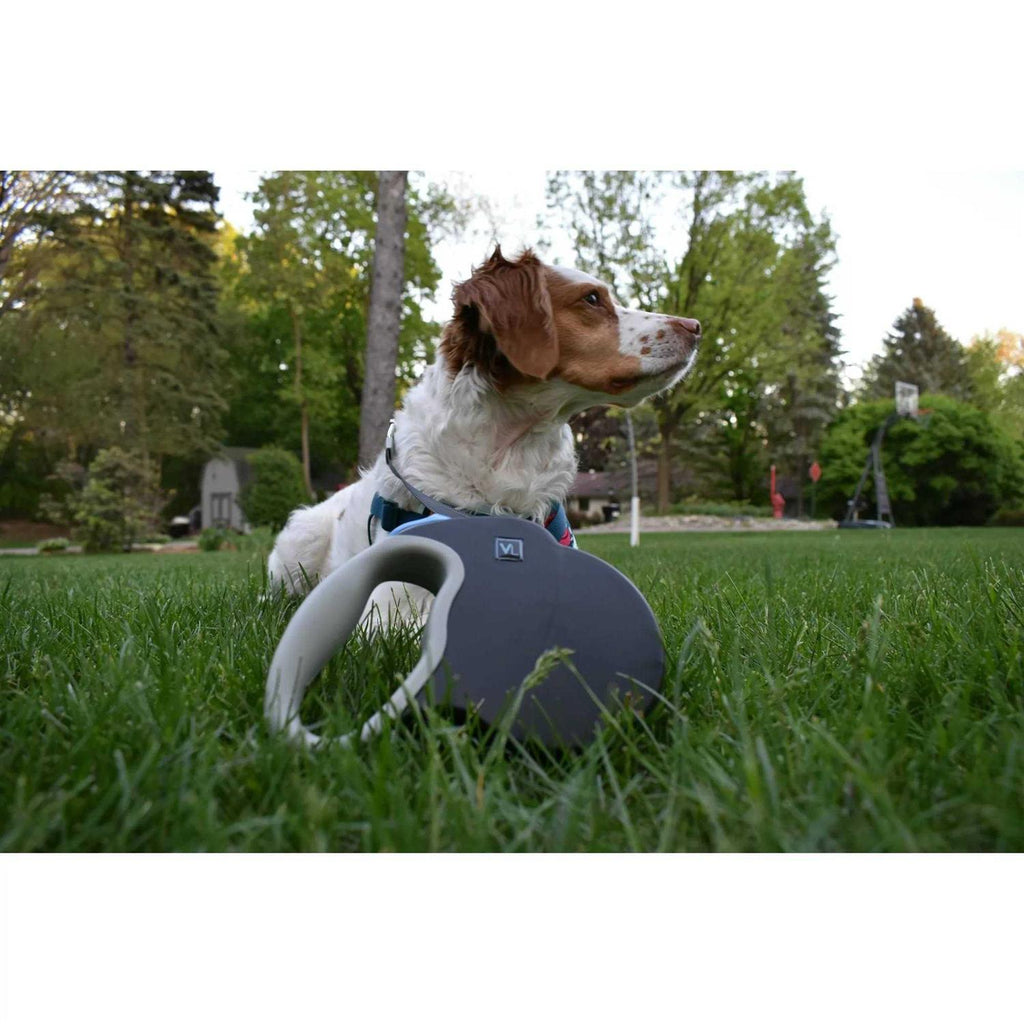 Reflective Retractable Tape Leash W1662