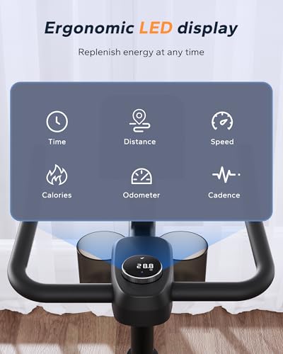 Exercise Bike with 300lbs Weight Capacity L125