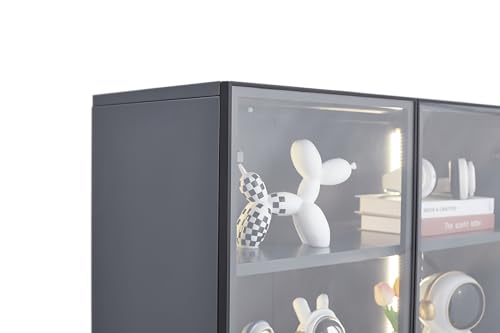 5 Shelves Metal Glass Display Cabinet F5156