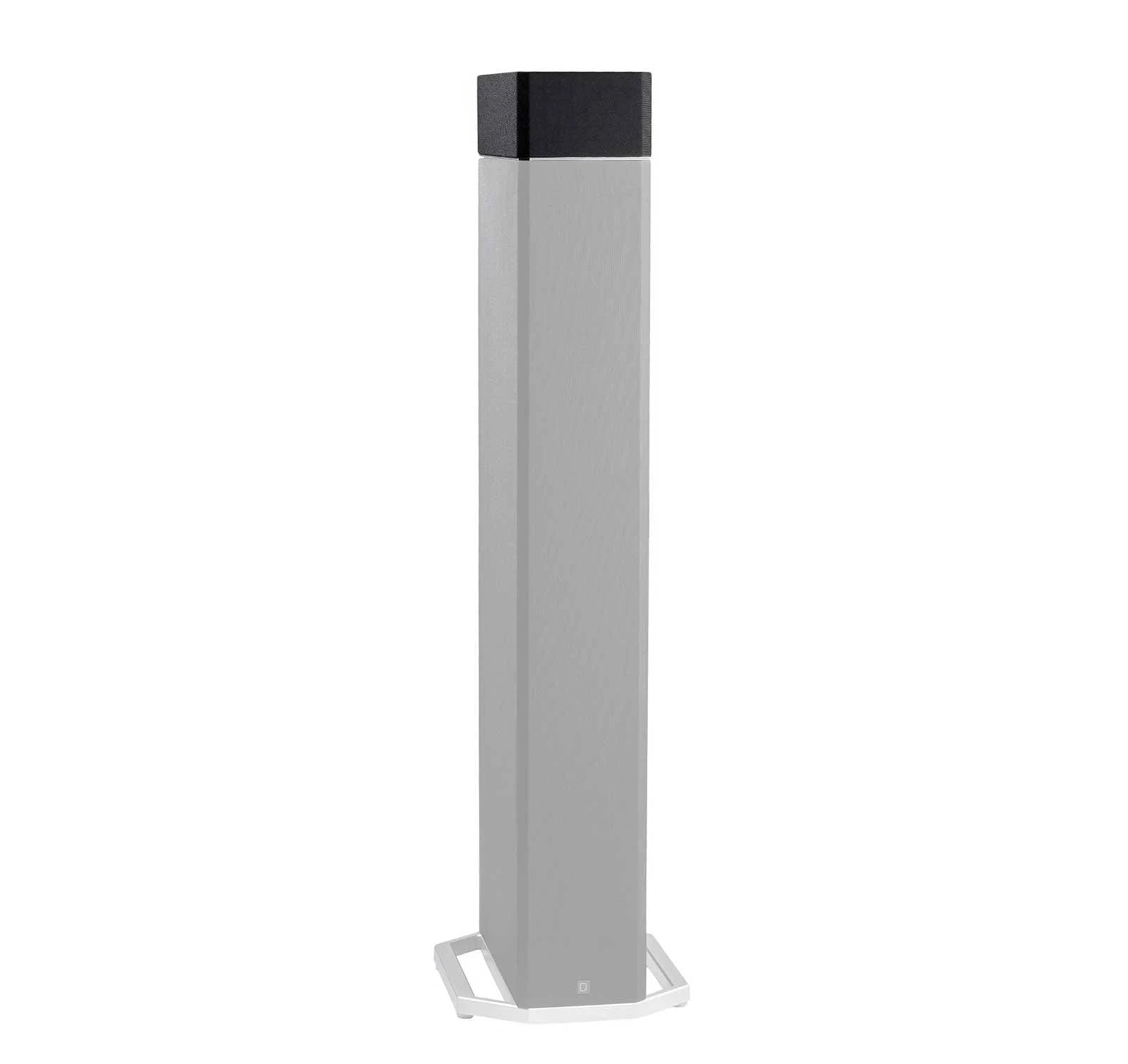 Height Speaker Module G6517