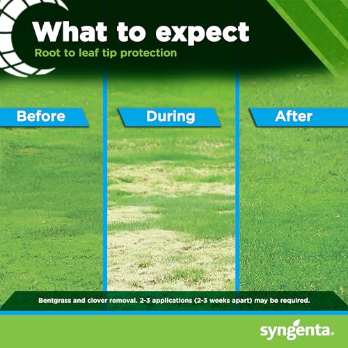 8 oz Liquid Weed Killer for Lawns Q2812