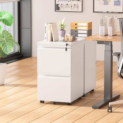 White 2 Drawer Metal Rolling File Cabinet with Lock F33074