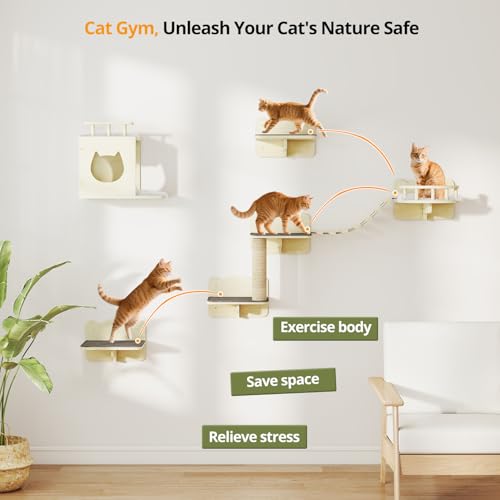 Cat Wall Shelves Set of 5 Wooden Shelves with Scratching Post H9199