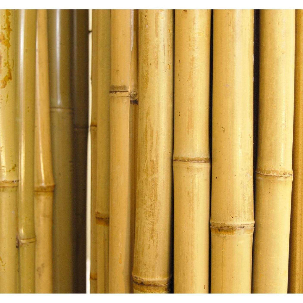 Natural Bamboo Fencing D58635