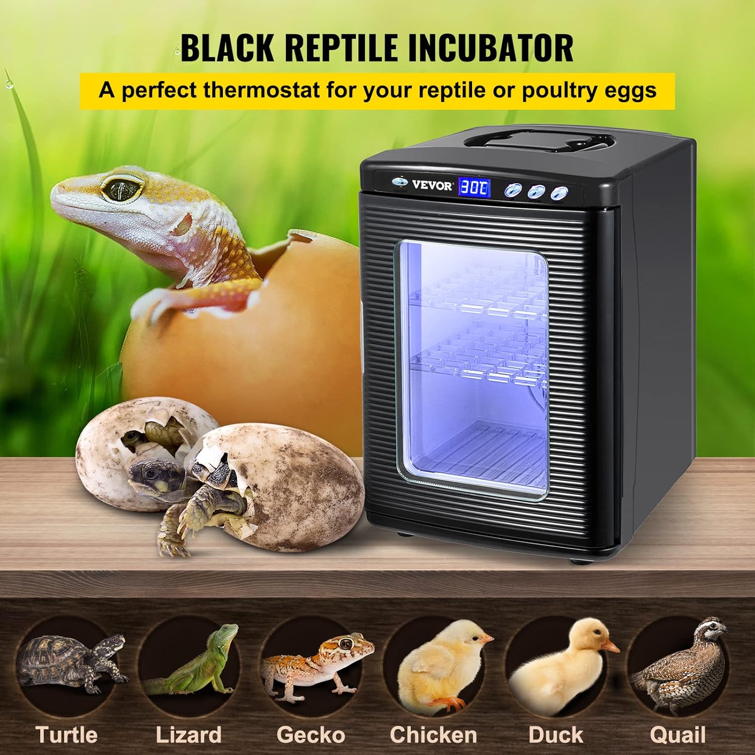 25L Black Reptile Egg Incubator 5-60°C Digital Display D49286