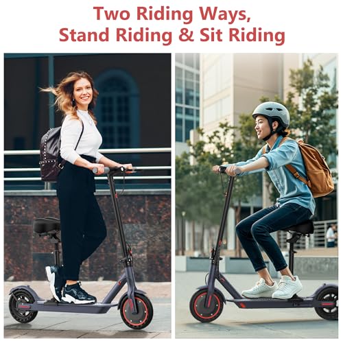 8.5"/10" Tire Electric Scooter with Dual Suspension D731