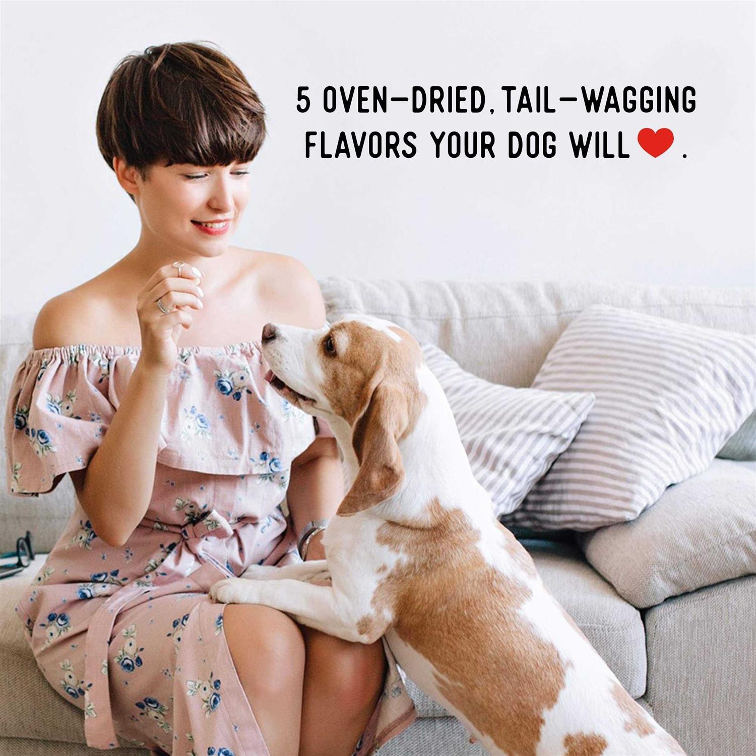 Dogs Love Variety Jerky Treats C699259
