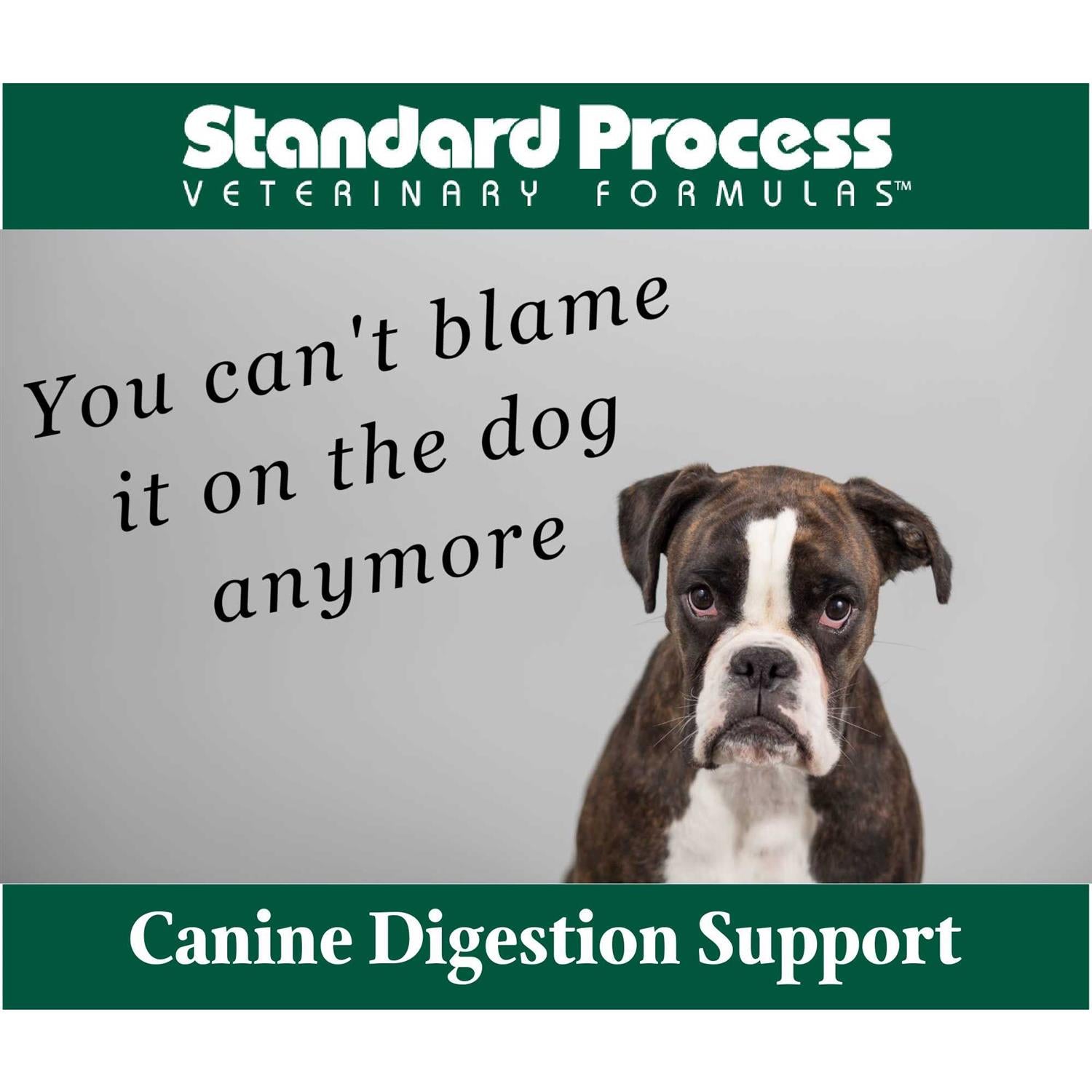 Canine Enteric Support T2927