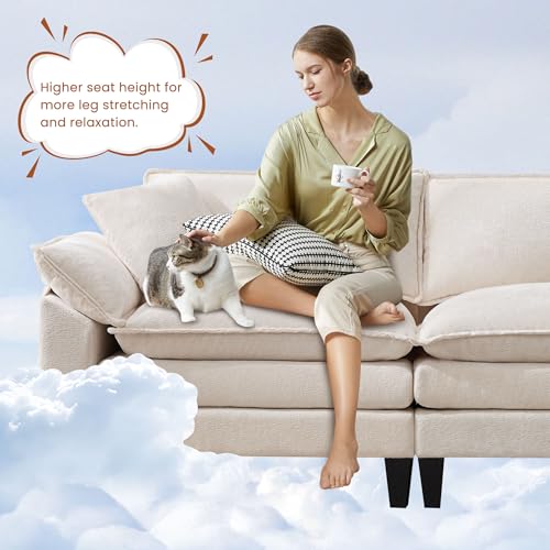 83" Chenille Fabric Loveseat Sofa with Double Cushion and 2 Pillows E4524