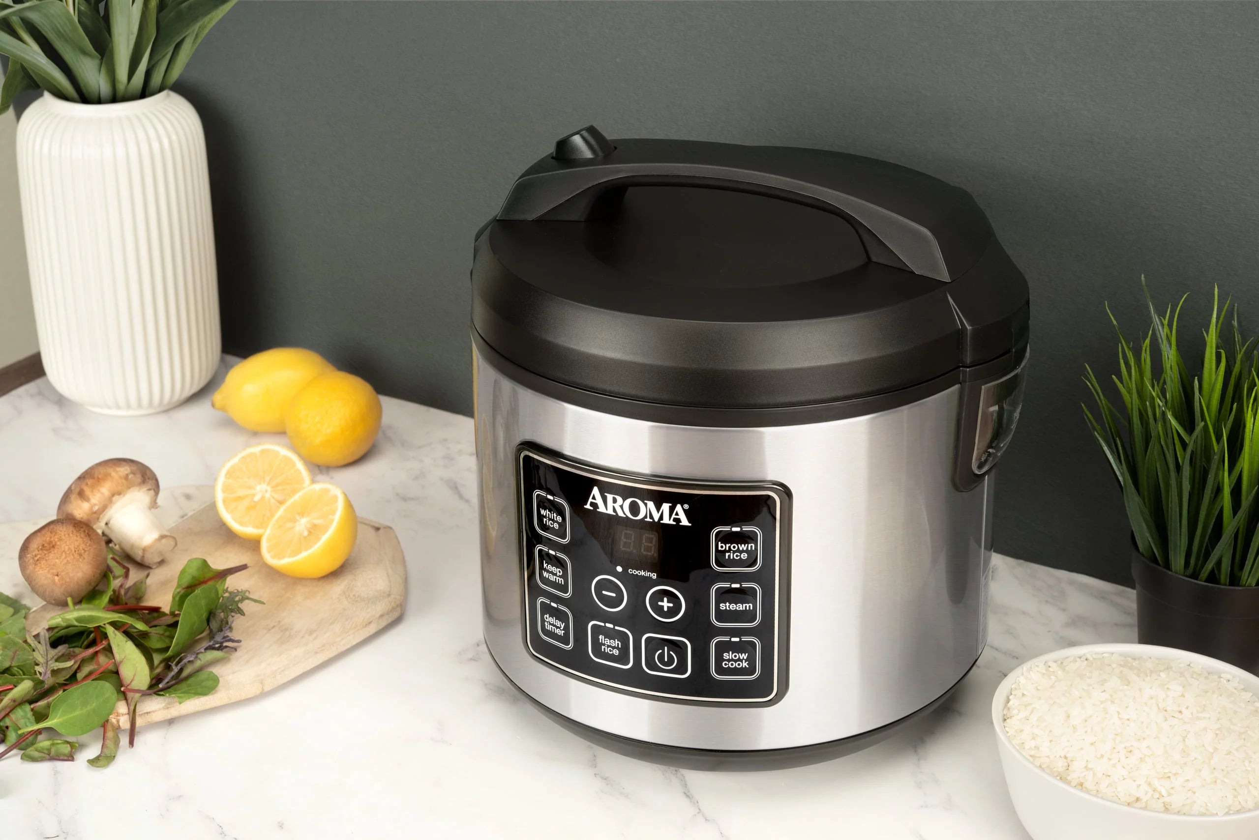 20-Cup Programmable Rice & Grain Cooker and Multi-Cooker J6169