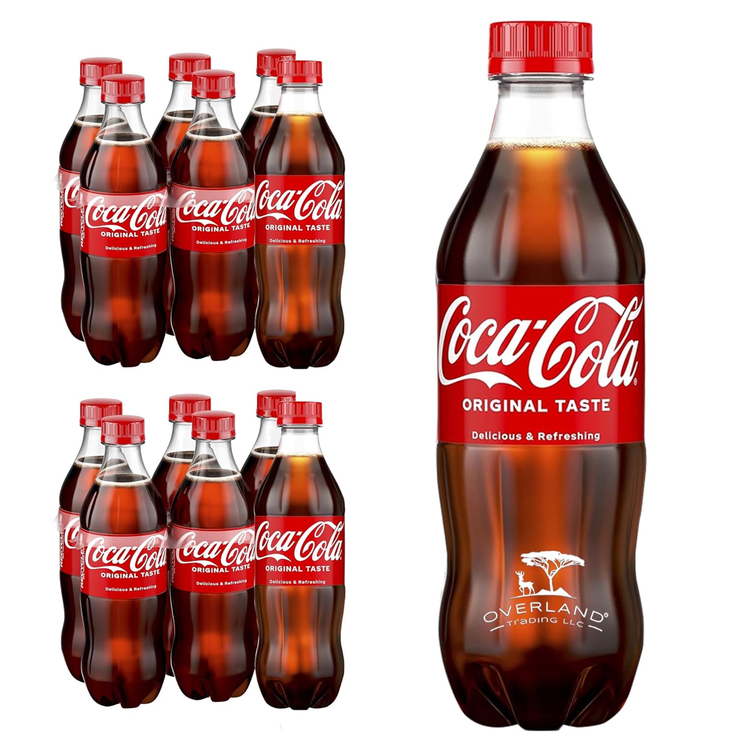 16.9 fl oz 12 Pack Soda Soft Drink F985494
