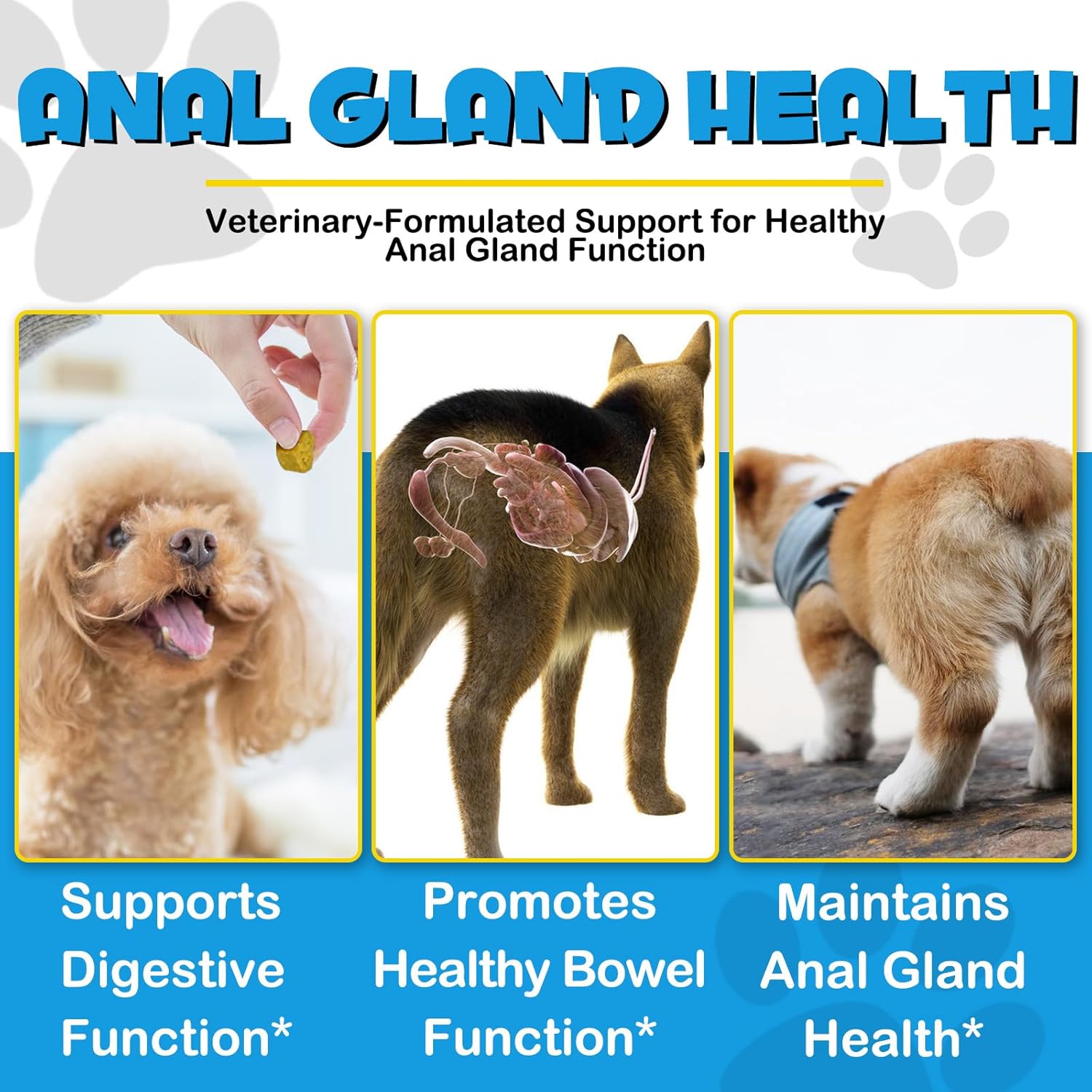 150 Pcs Dog Anal Gland Soft Chews with Pumpkin W4309