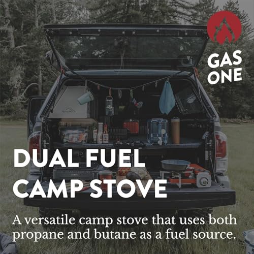 Dual Fuel Portable Camping Stove with Carrying Case P857197