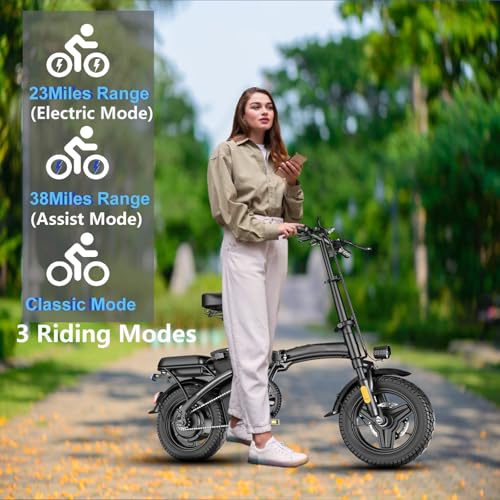14" Mini Folding Electric Bike with 48V12AH Removable Battery O199676