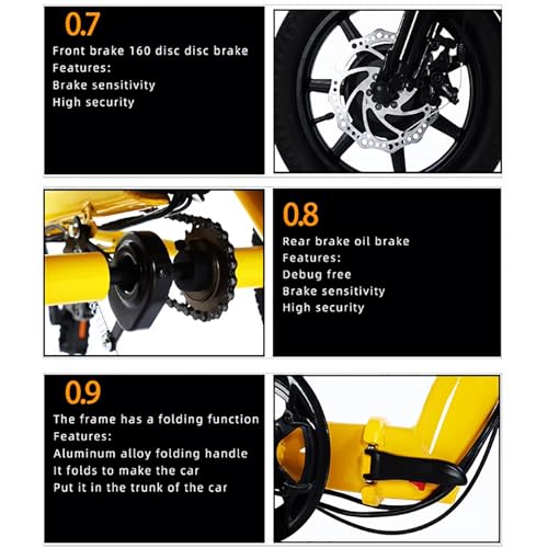 14 Inch Folding Adult Electric Tricycle with Detachable Battery J718
