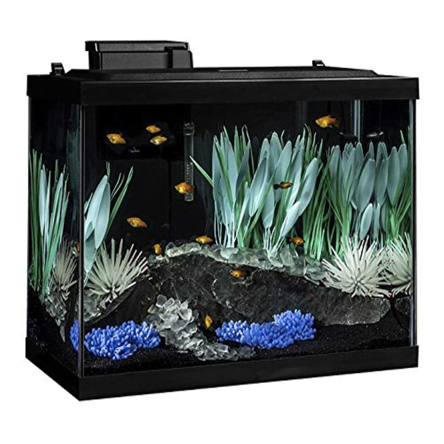 20 Gallon LED Aquarium Fish Tank Kit R708797