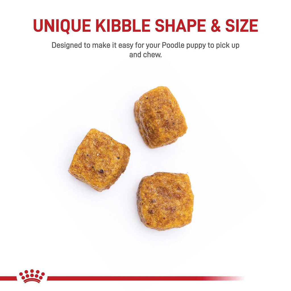 Poodle Puppy Dry Dog Food S319