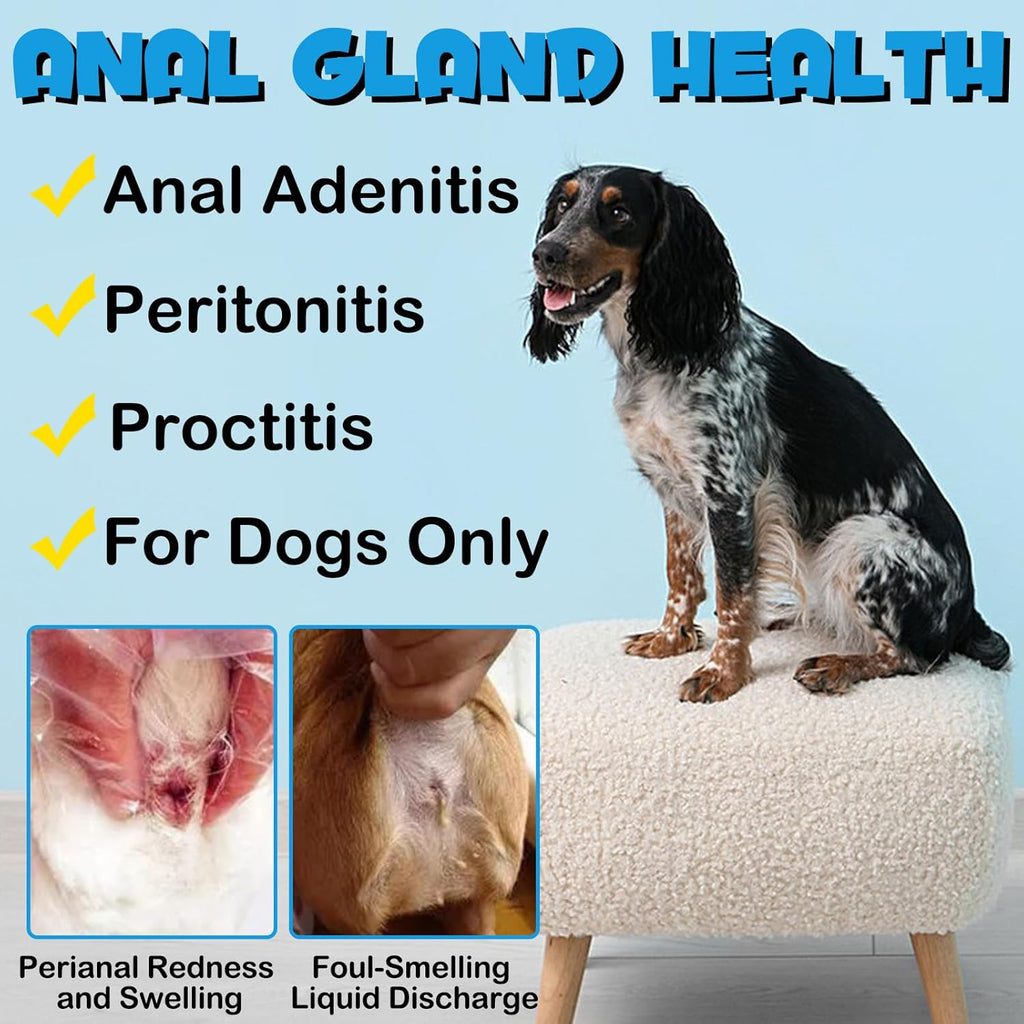 150 Pcs Dog Anal Gland Soft Chews with Pumpkin W4309