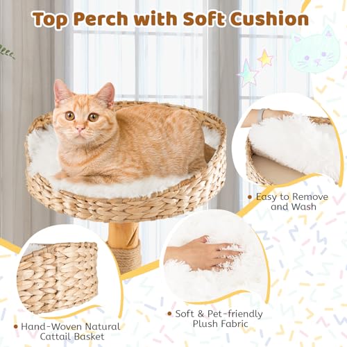 Solid Wood Cat Tree with Scratching Posts (34 Inch) K2677