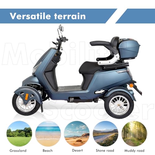 800W All Terrain Mobility Scooter with Seat and Remote Control F1821