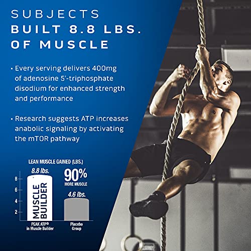 30 Capsules Nitric Oxide Supplement M84028