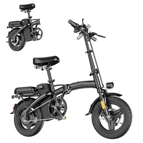 14" Mini Folding Electric Bike with 48V12AH Removable Battery O199676