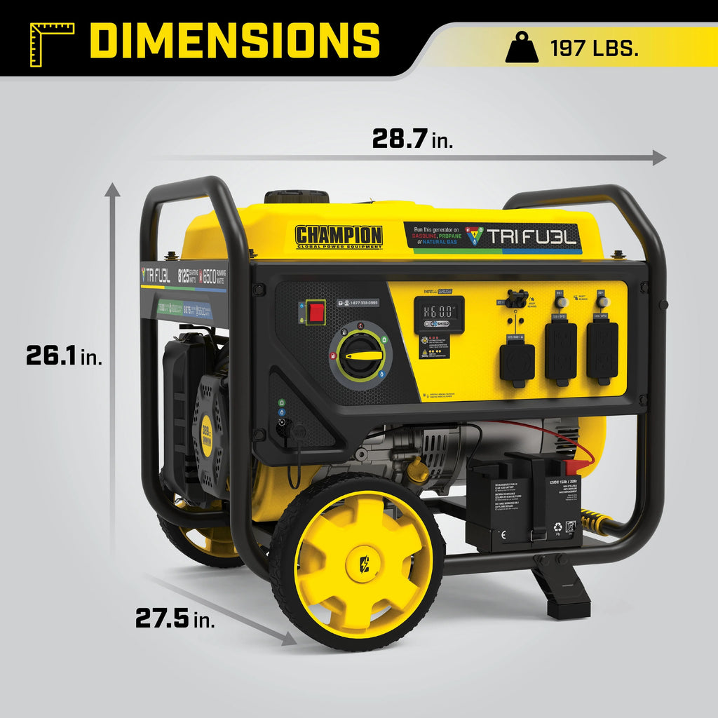 6500-Watt Tri-Fuel Portable Generator with Electric Start V6013
