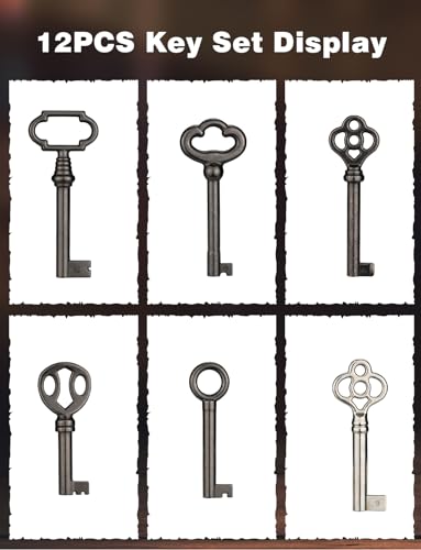 12-Key Universal Skeleton Key Set U307