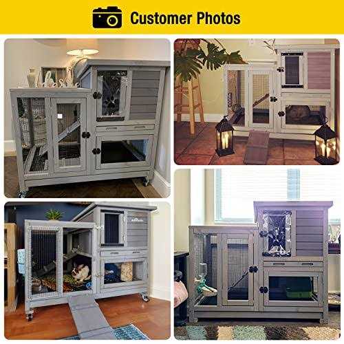 Indoor Outdoor Rabbit Animals C46669