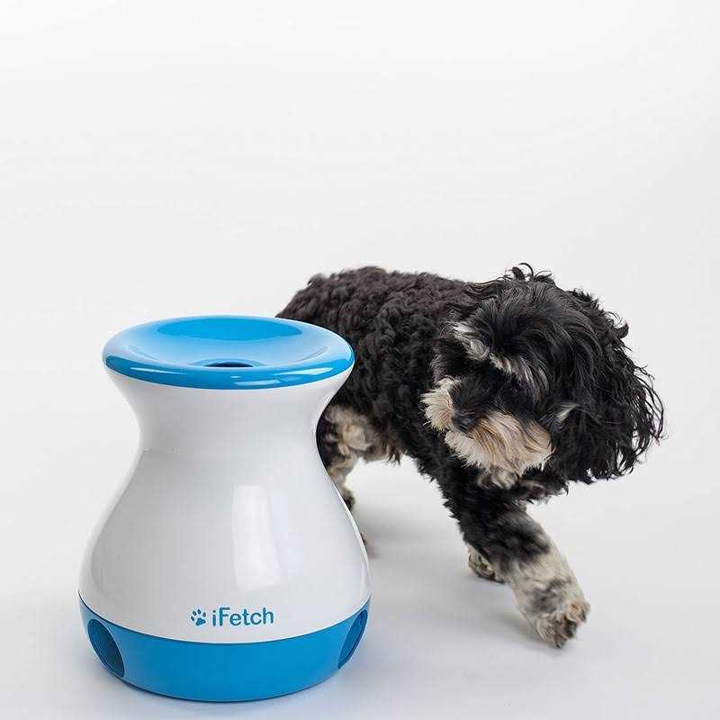 Frenzy Dog Toy T900754