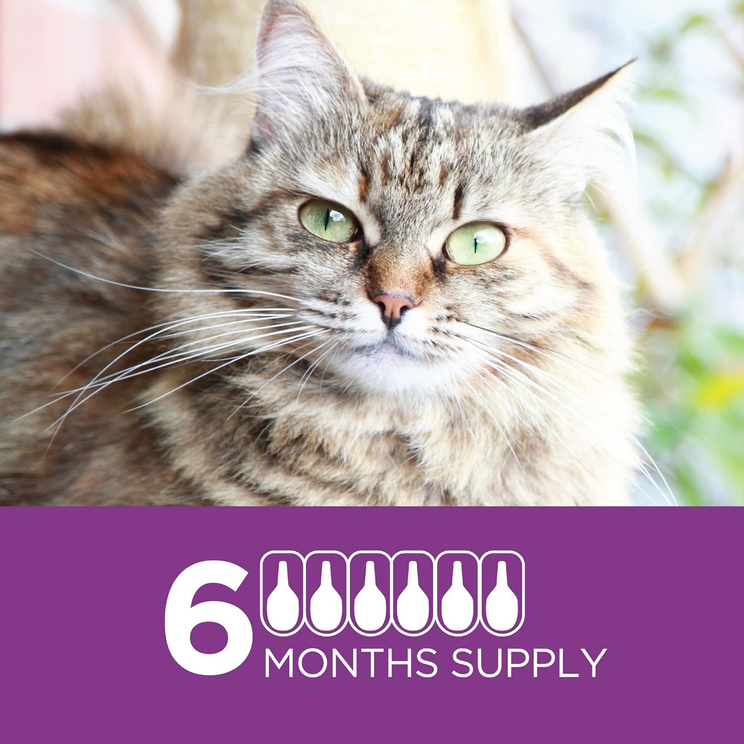 6 Doses Flea Treatment for Cats 5-9 lbs Z372
