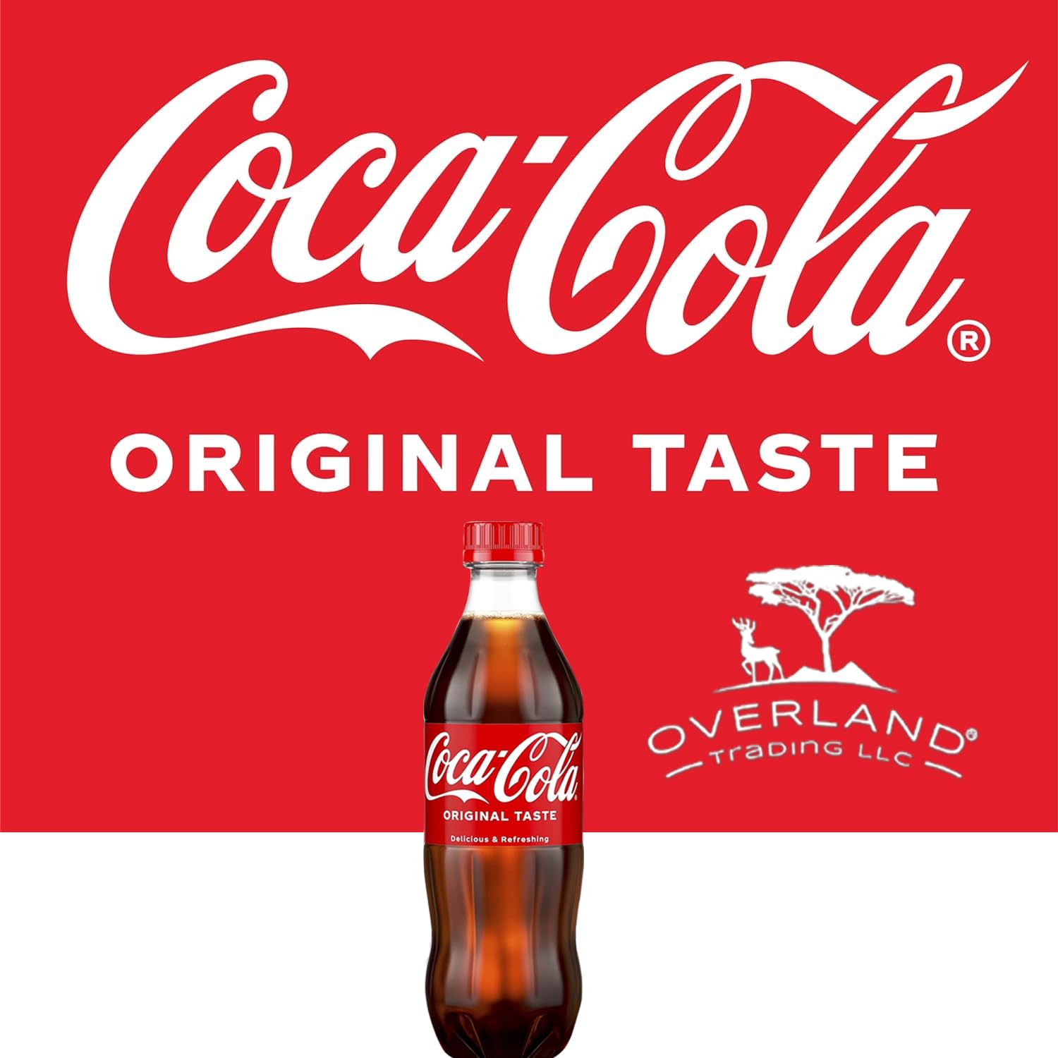 16.9 fl oz 12 Pack Soda Soft Drink F985494