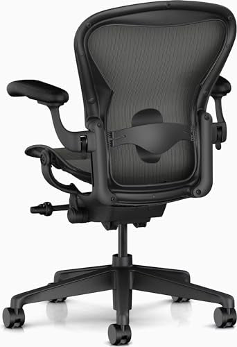 Graphite Ergonomic Office Desk Chair V694793