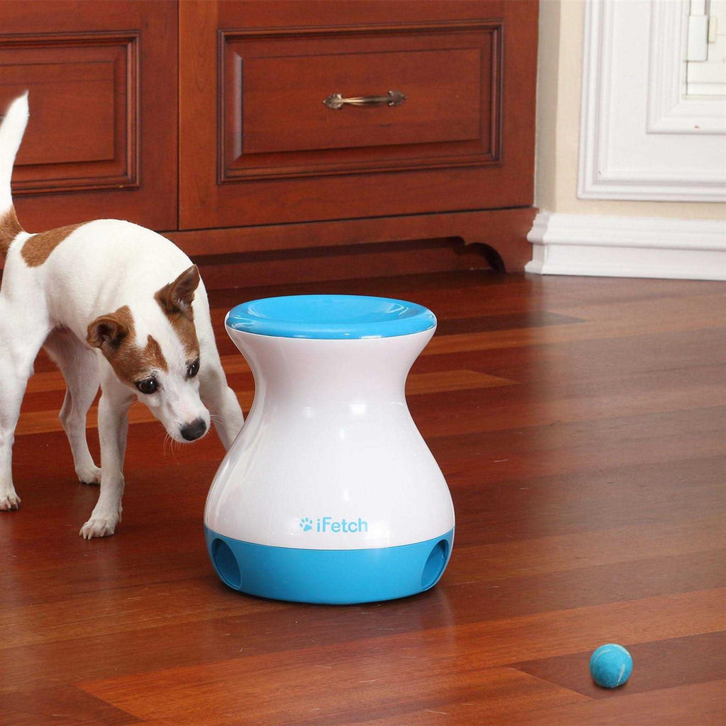 Frenzy Dog Toy T900754