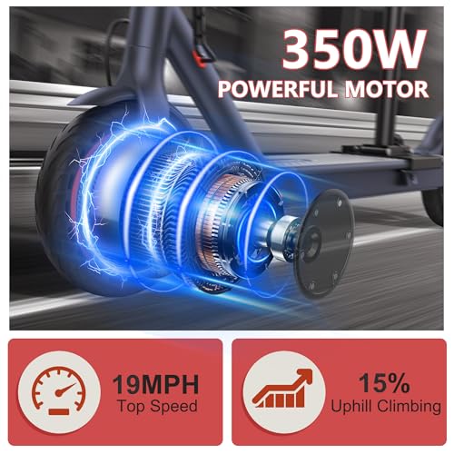 8.5"/10" Tire Electric Scooter with Dual Suspension D731