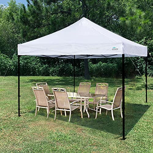 10' x 10' Replacement Canopy Top L2588