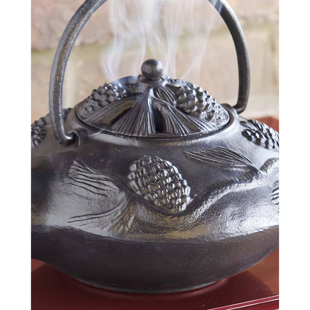 Black Cast Iron Wood Stove Kettle Steamer K880