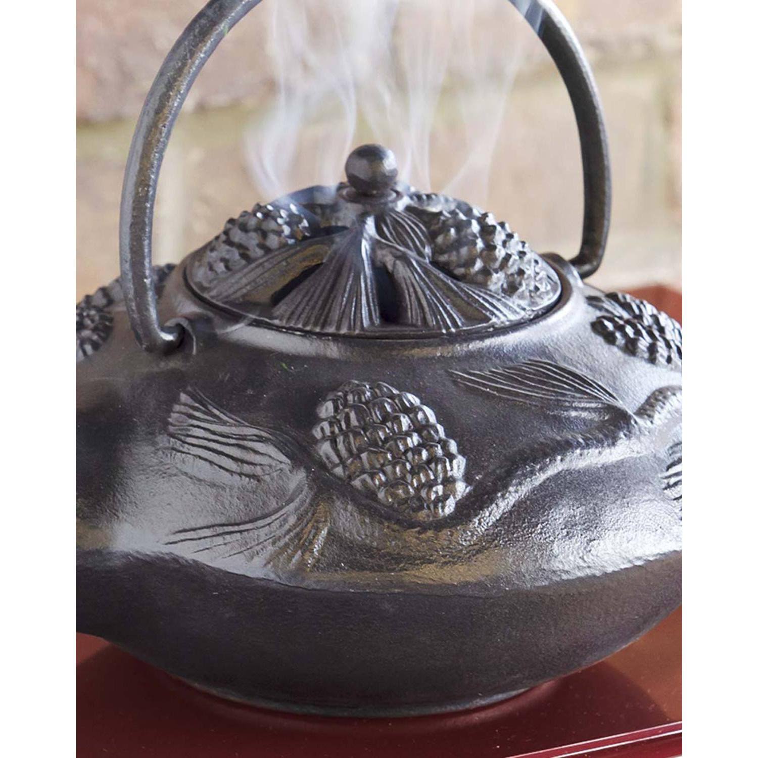 Black Cast Iron Wood Stove Kettle Steamer K880